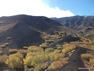 Monte_Zappinazzo - 04-11-2012 11-05-25.JPG
